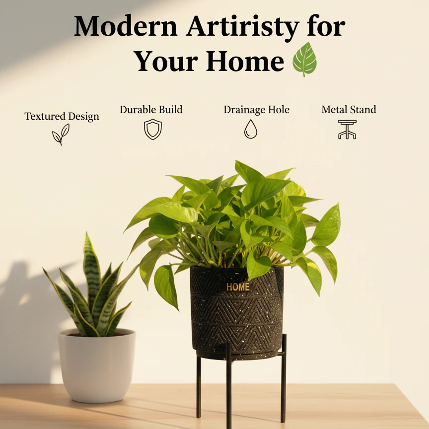 Best Vastu-Based Indoor Planters
